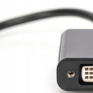 DisplayPort/DVI adapter kábel 20 cm