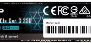256 GB M.2 NVMe SSD SP A60